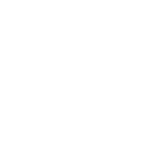 Logo Dom Finance blanc transparent