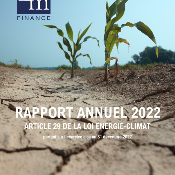 4546 image rapport article 29 LEC