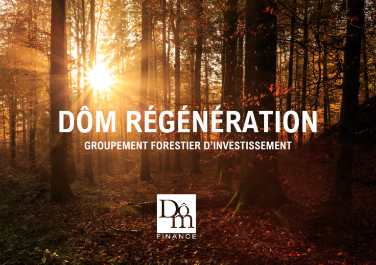 dom regeneration 2023 10 25