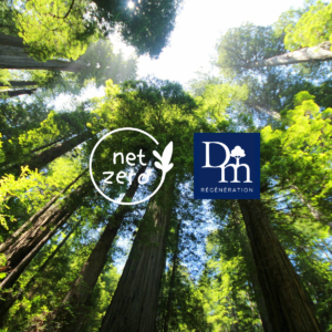 net zero